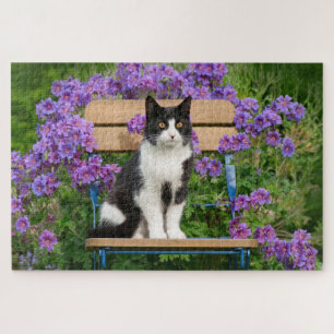Tuxedo Katze sitzt auf einem Gartenstuhl mit Blume