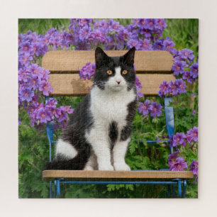 Tuxedo Katze sitzt auf einem Gartenstuhl mit Blume