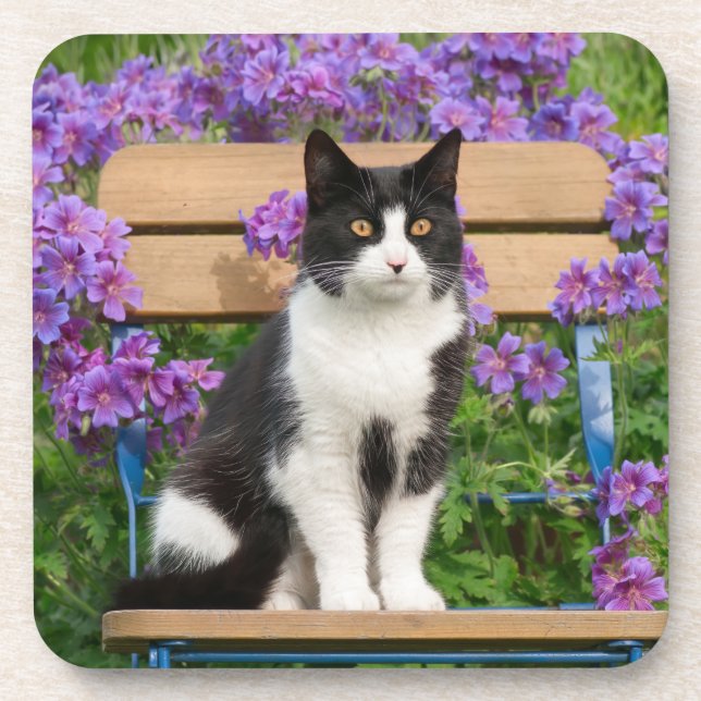 Tuxedo Katze sitzt auf einem Gartenstuhl mit Blume Getränkeuntersetzer (Vorderseite)
