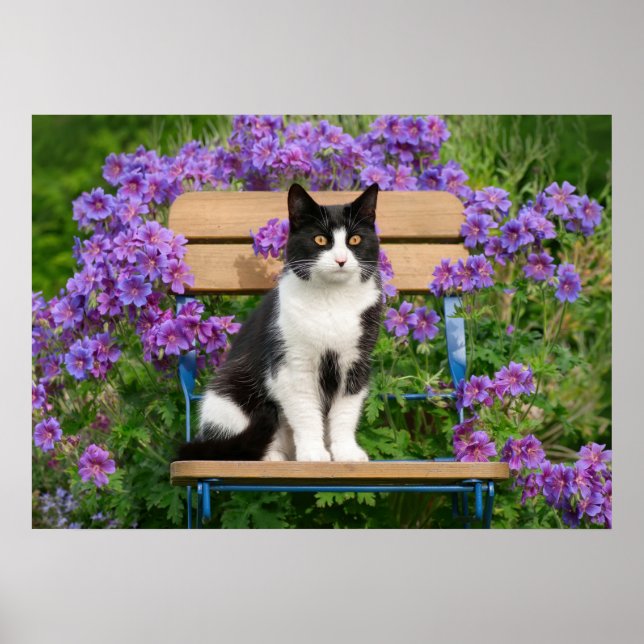 Tuxedo Katze sitzt auf einem Gartenstuhl mit Blume Poster (Vorne)