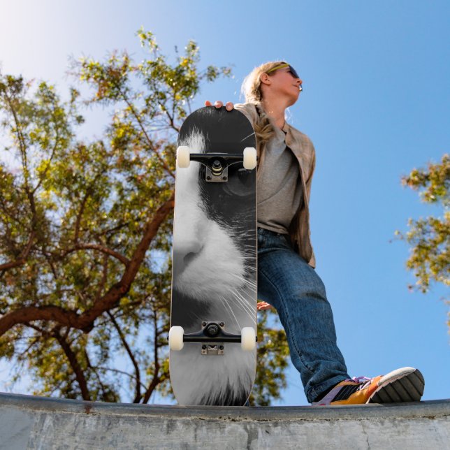 Tuxedo-Katze Skateboard (Außenbereich 1)