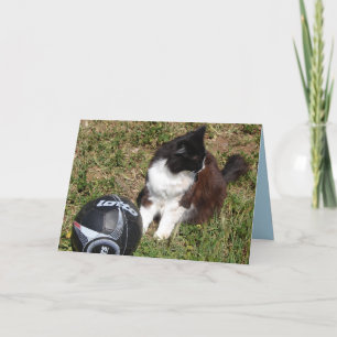 Tuxedo-Katze spielt Fußball Süße schwarze Katzen K Karte