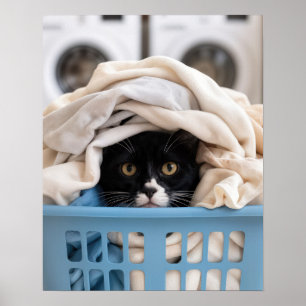Tuxedo-Katze versteckt sich im Wäschekorb Poster