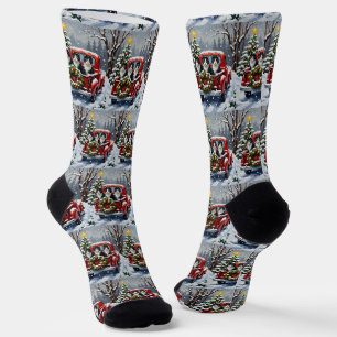 Tuxedo-Katze Weihnachten Rotes Lastwagen Ferien Socken