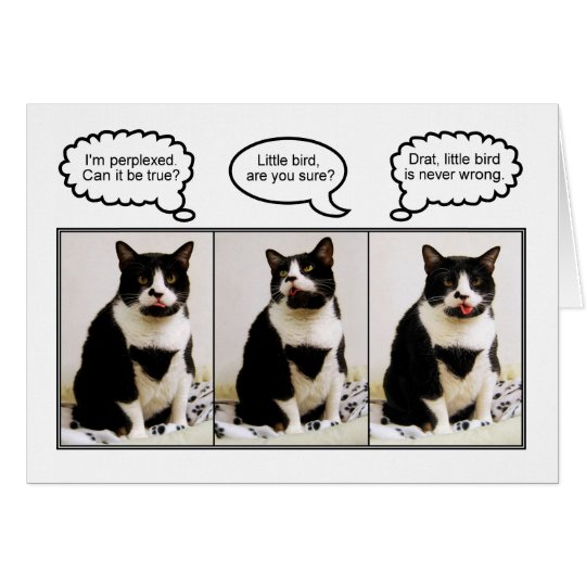 Tuxedo-Katzen-Geburtstags-Spaß-Karte Karte