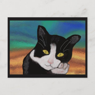 Tuxedo Katzenpostkarten Postkarte
