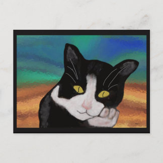 Tuxedo Katzenpostkarten Postkarte