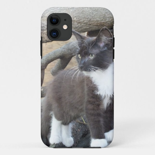 Tuxedo Kitten Case-Mate iPhone Hülle (Rückseite)