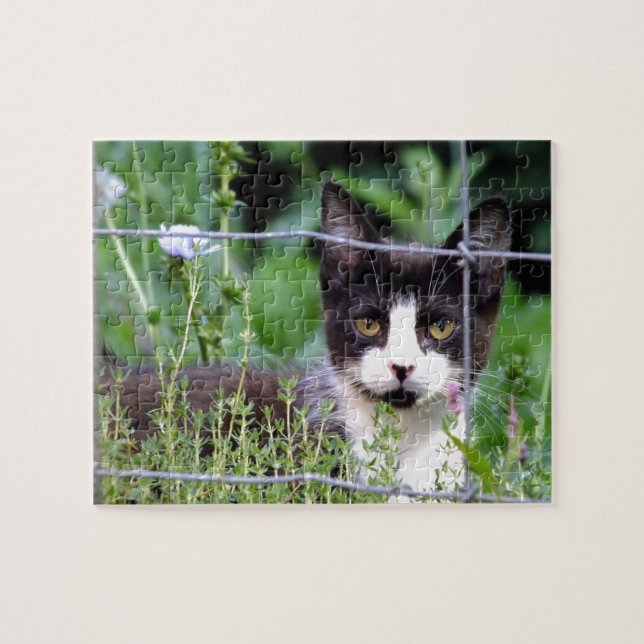 Tuxedo Kitten dans le Puzzle du jardin (Horizontal)