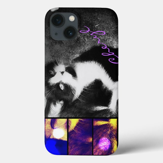 Tuxedo Kitten Foto Art iPad Air Hüllen (Rückseite)