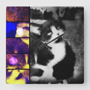Tuxedo Kitten Foto Kunst, Dichtung und Musik Quadratische Wanduhr