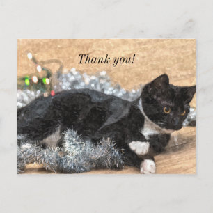 Tuxedo Kitten Tinsel und Lights Danke Postard Postkarte