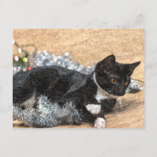 Tuxedo Kitten Tinsel und Lights Postcard Postkarte