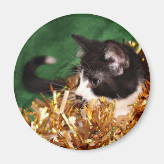 Tuxedo kitten Weihnachten Magnet