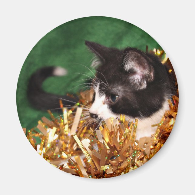 Tuxedo kitten Weihnachten Magnet (Vorne)
