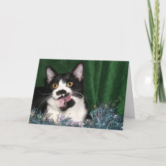 Tuxedo kitty Christmas Feiertagskarte