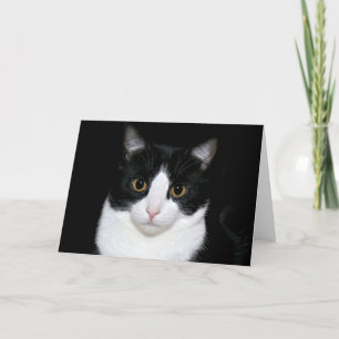 Tuxedo kitty karte