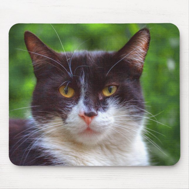 Tuxedo Portrait Mousepad (Vorne)