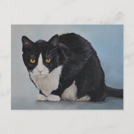 Tuxedo Schwarz-weiße häusliche Kurzkatze Postkarte