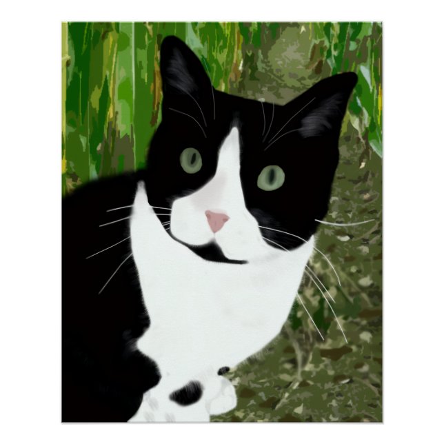 Tuxedokatze im Maisfeld Poster (Vorderseite)