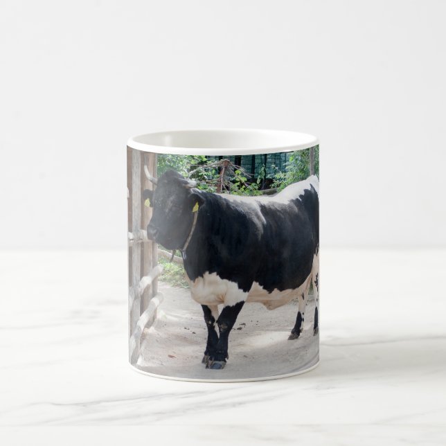 Tuxer Cattle Kaffeetasse (Mittel)