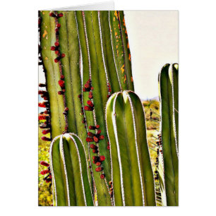 Tuyau de fourneau en fleur