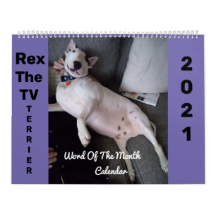 TV Terrier 2021 Kalender neu gestalten