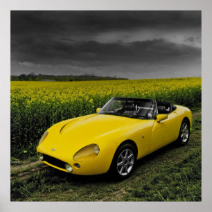 TVR Griffith Print Poster