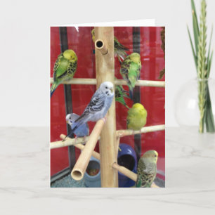 "TWEET" GLÜCKLICH EINFACH ZU "DIR" FEIERTAGSKARTE