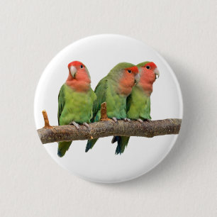Tweet Trio Abzeichen Button