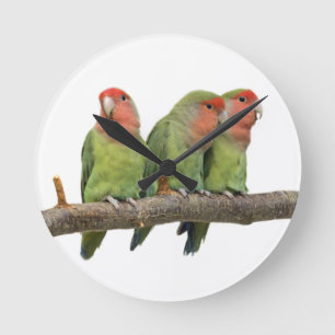 Tweet Trio Clock Runde Wanduhr