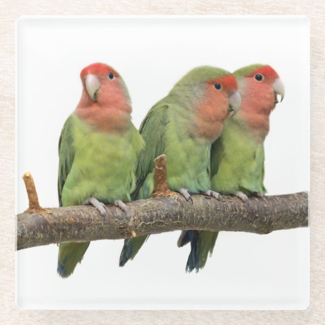 Tweet Trio Glass Untersetzer (Vorderseite)