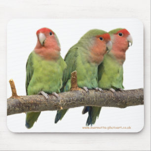 Tweet Trio Tapis de souris
