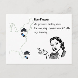 Tweetstorms Haiku Postcard Postkarte