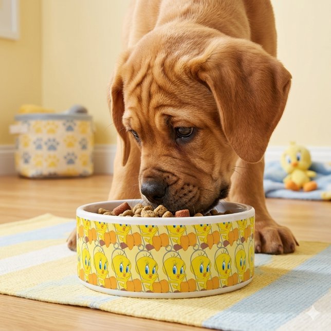 Tweety Bowl Napf (Von Creator hochgeladen)