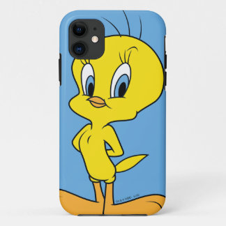 TWEETY™ | Clever Bird title_seo2