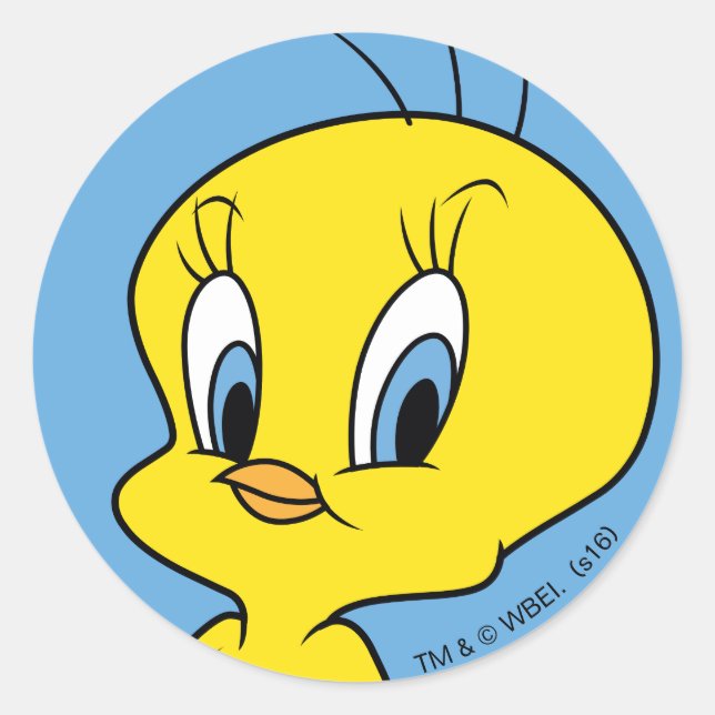 TWEETY™ | Clever Bird Runder Aufkleber (Vorderseite)