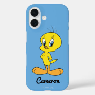 TWEETY™   Clever Bird title_seo2