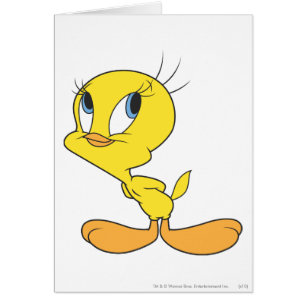 TWEETY™ Hmm