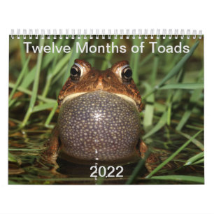 Twelve Months of Toads: 2022 Calendar Kalender