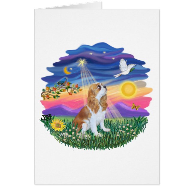 Twilight - Blenheim Cavalier (F) (Vorne)