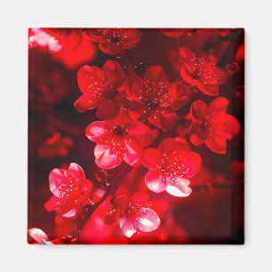Twilight Cherry Blossom Glow Magnet