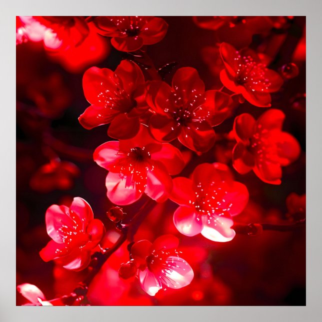 Twilight Cherry Blossom Glow Poster (Vorne)