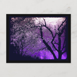Twilight haze Postcard Postkarte