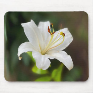 Twilight Weiße Lilie Mousepad