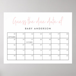 Twin Baby Dusche Rosa mädchenhafte moderne Typogra Poster