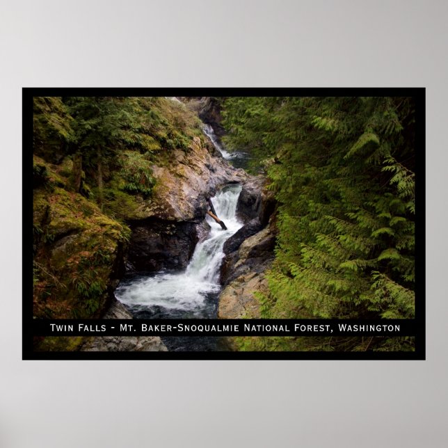 Twin Falls Print Poster (Vorne)