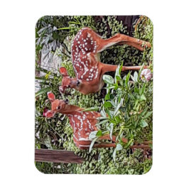 Twin Fawns Magnet