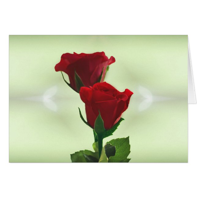 Twin Flame amour roses rouges (Devant horizontal)