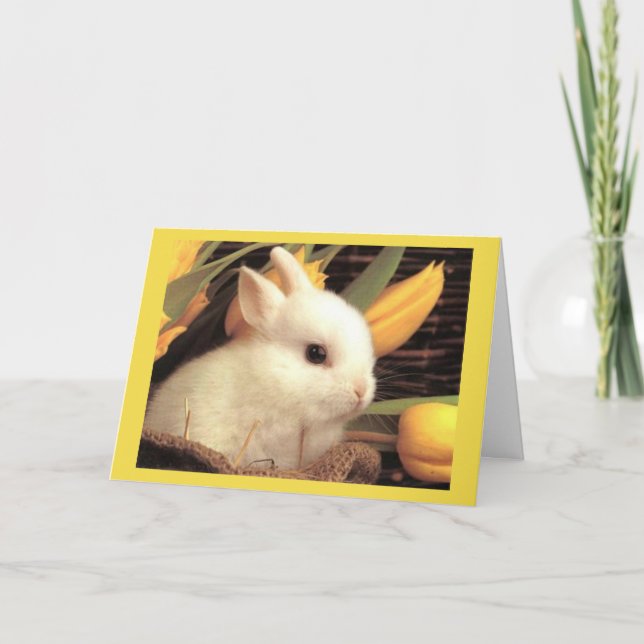 ***TWIN*** - GLÜCKLICHER OSTER / GLÜCKLICHER FRÜHS FEIERTAGSKARTE (Vorderseite)